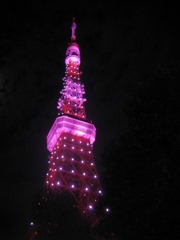 ピンク東京タワー